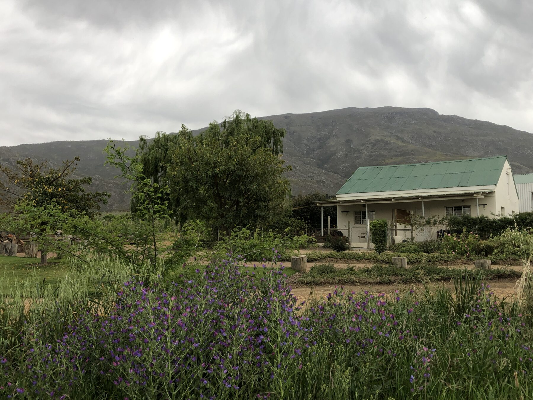 De Rust Farmhouse and Cottages